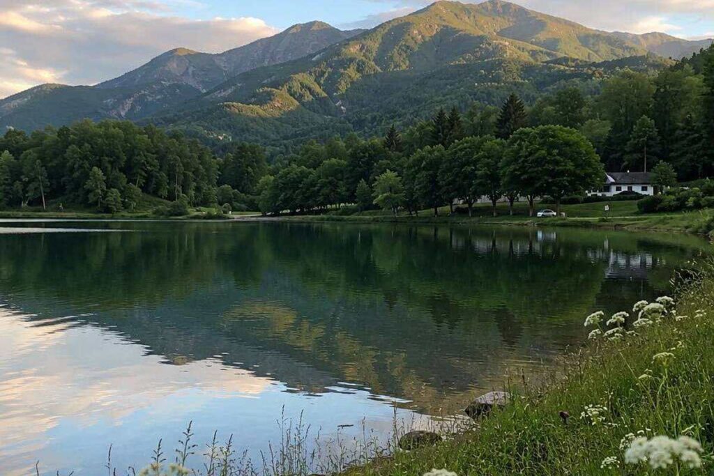 A calm mountain lake at sunrise with forested hills and wildflowers